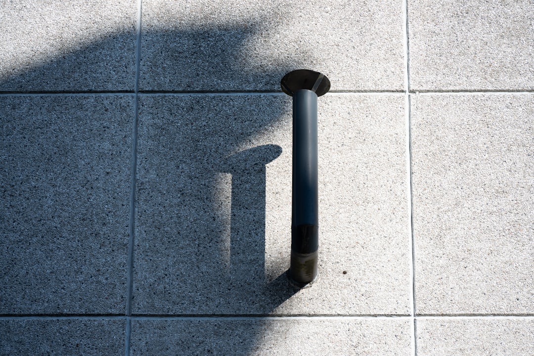 סמואל פלקון בימים אלה: כל חזרה סופרת